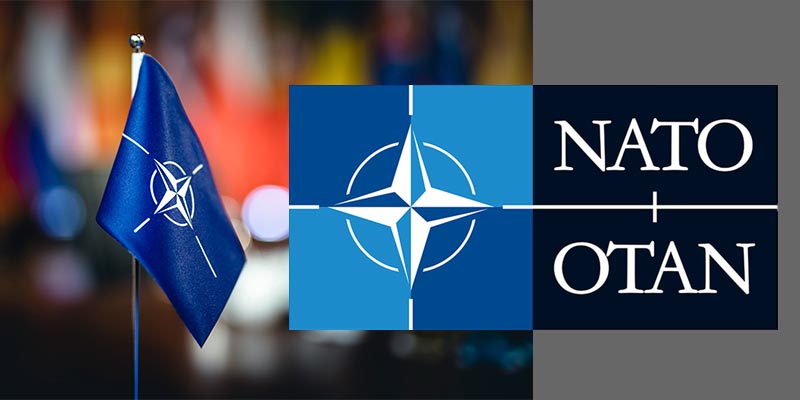 Read more about the article Trump žestoko napao Francusku