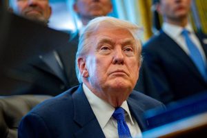 Read more about the article Tramp